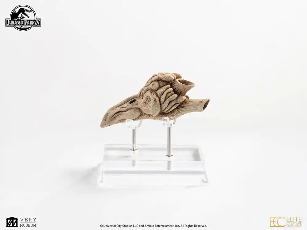 Replika rekwizytu Jurassic Park III 1/1 Komora rezonansowa Velociraptora 18 cm zdjęcie produktu