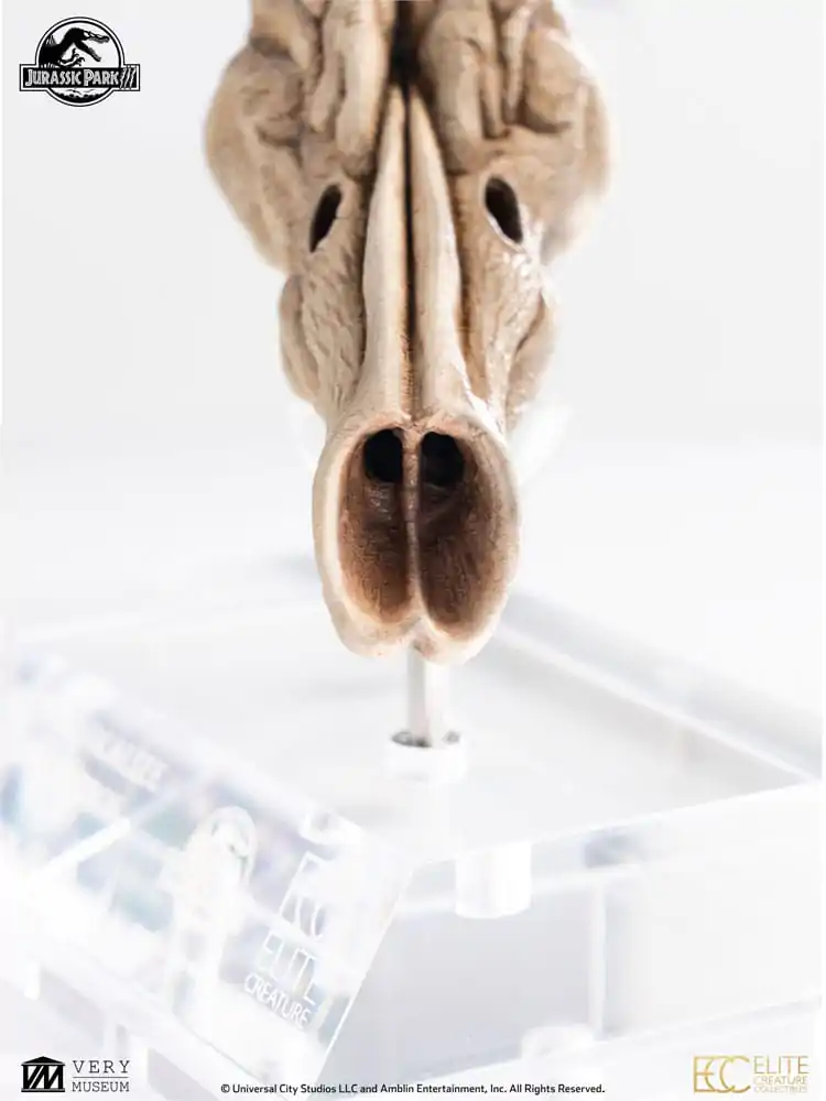 Replika rekwizytu Jurassic Park III 1/1 Komora rezonansowa Velociraptora 18 cm zdjęcie produktu