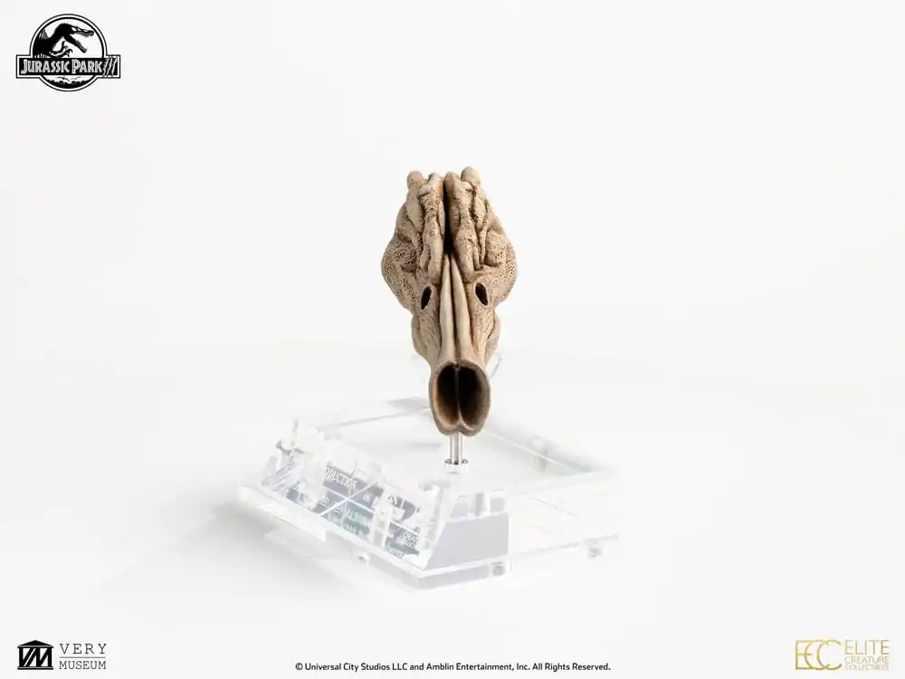 Replika rekwizytu Jurassic Park III 1/1 Komora rezonansowa Velociraptora 18 cm zdjęcie produktu