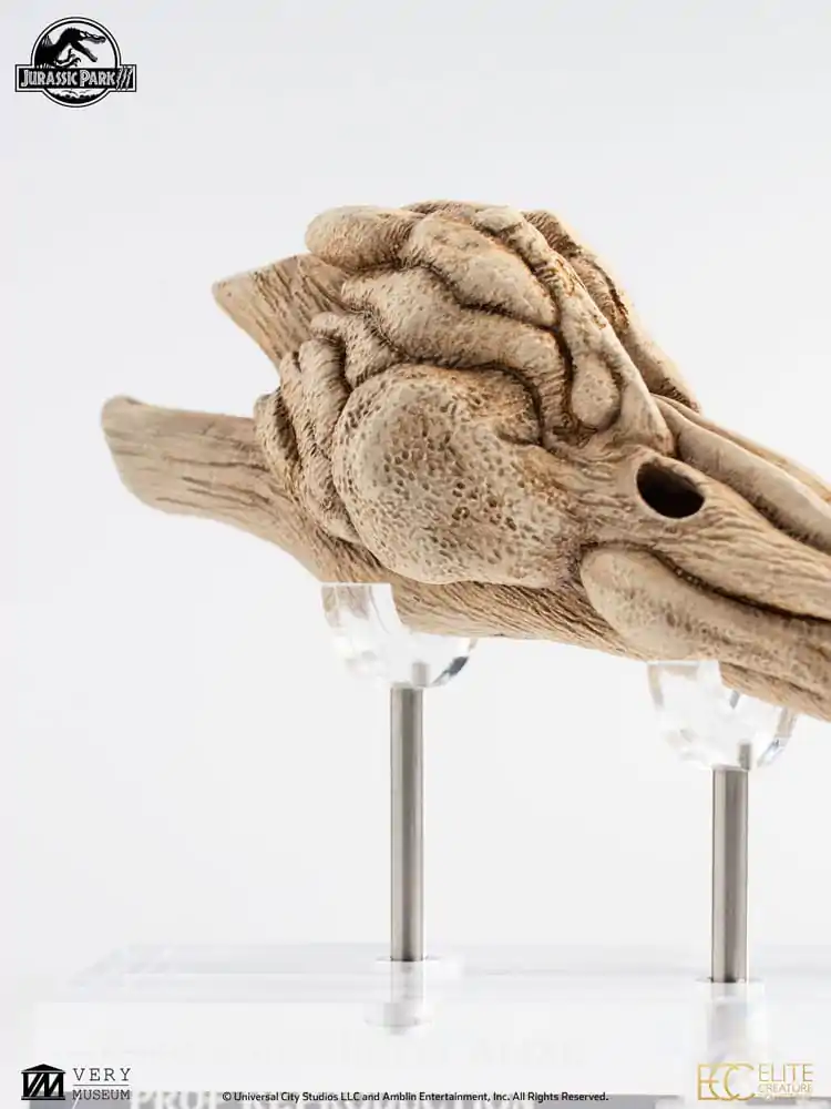 Replika rekwizytu Jurassic Park III 1/1 Komora rezonansowa Velociraptora 18 cm zdjęcie produktu