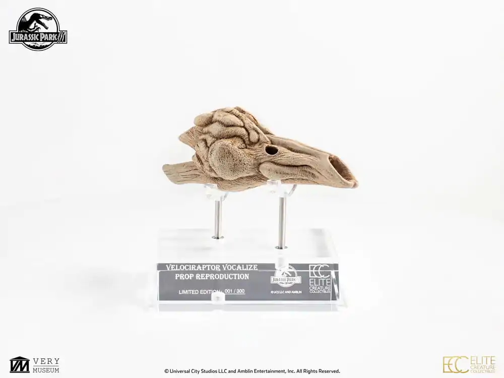 Replika rekwizytu Jurassic Park III 1/1 Komora rezonansowa Velociraptora 18 cm zdjęcie produktu