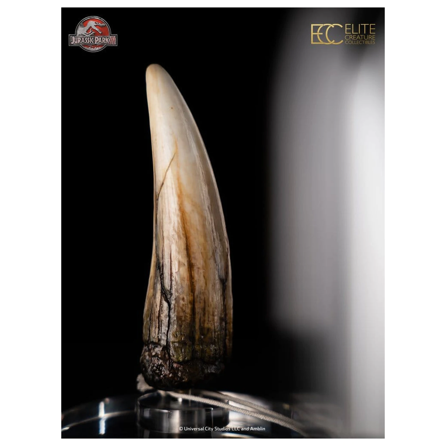 Jurassic Park III Prop Replica 1/1 Spinosaurus Tooth 14 cm zdjęcie produktu
