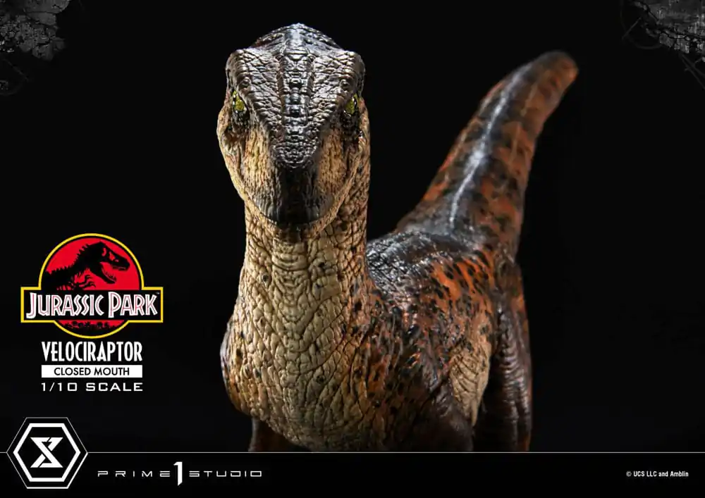 Jurassic Park Prime Collectibles Statua 1/10 Velociraptor Zamknięta Paszcza 19 cm zdjęcie produktu