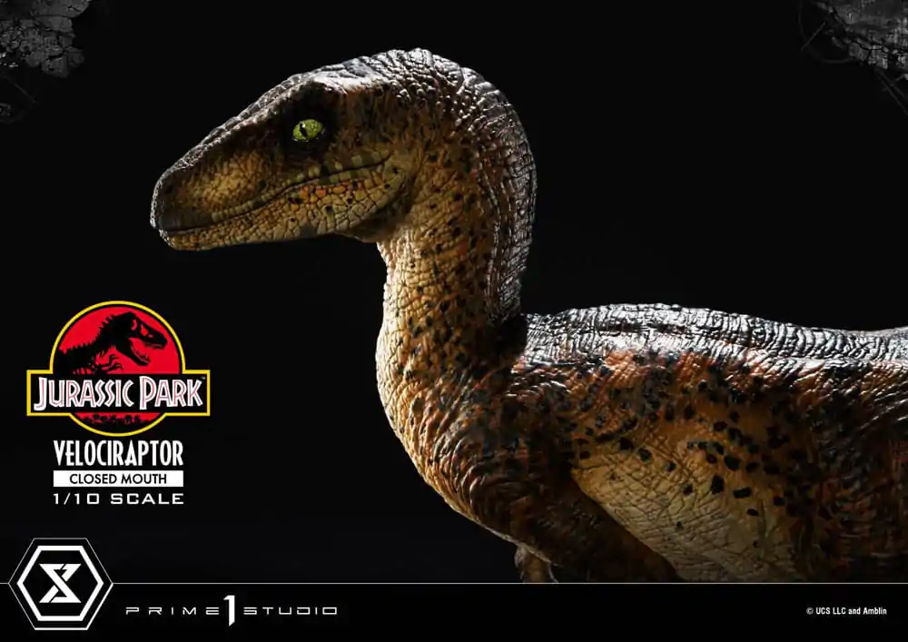 Jurassic Park Prime Collectibles Statua 1/10 Velociraptor Zamknięta Paszcza 19 cm zdjęcie produktu