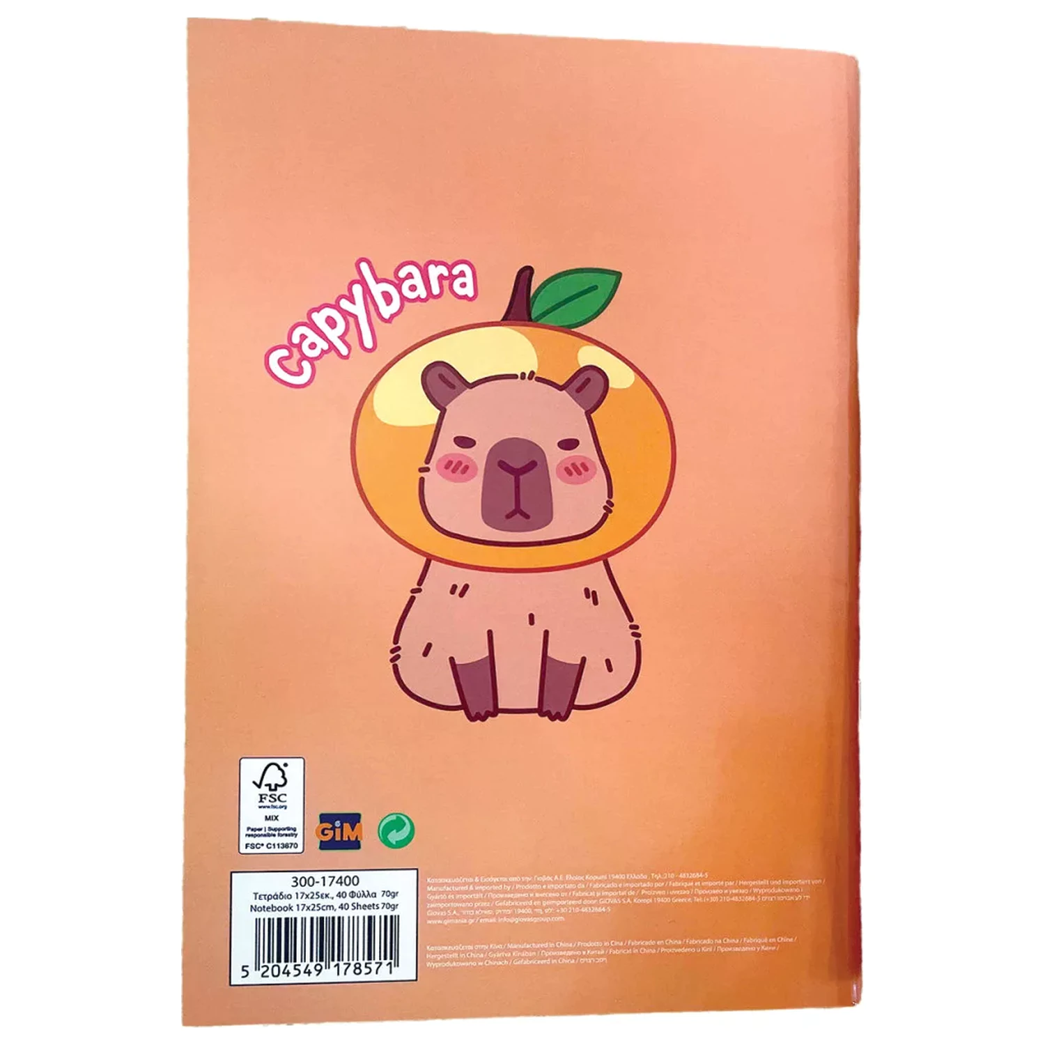 Capybara Chill B/5 Liniowany Notatnik 40 Stron zdjęcie produktu