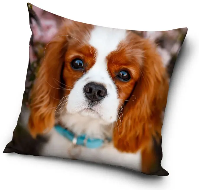 Poszewka na poduszkę z motywem psa 40x40 cm zdjęcie produktu