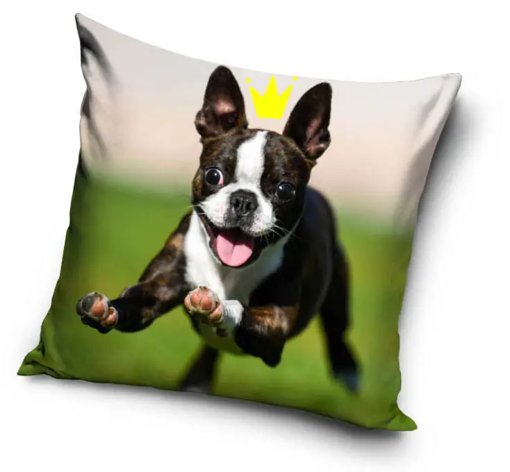 Poszewka na poduszkę ze wzorem psa 40*40 cm zdjęcie produktu