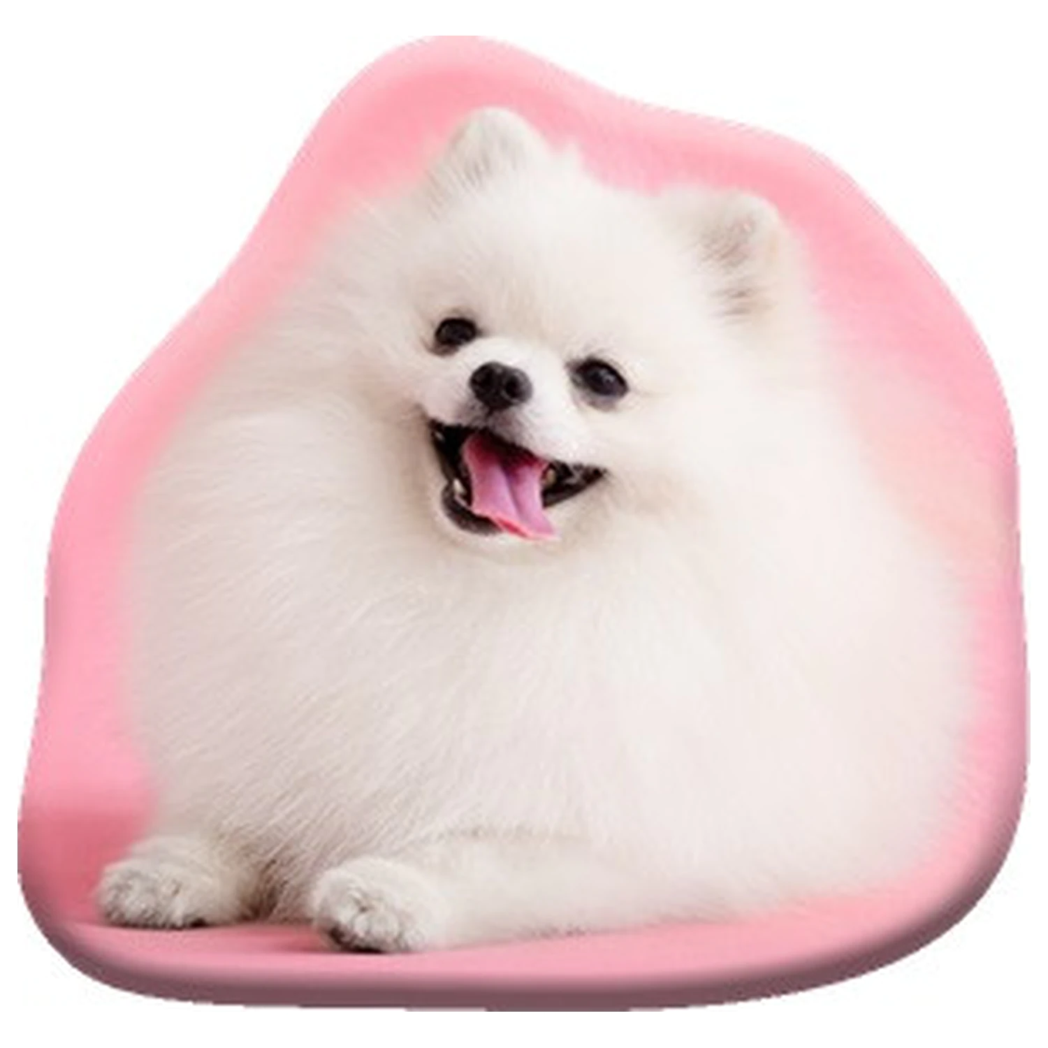 Poduszka dekoracyjna w kształcie psa rasy Pomeranian zdjęcie produktu