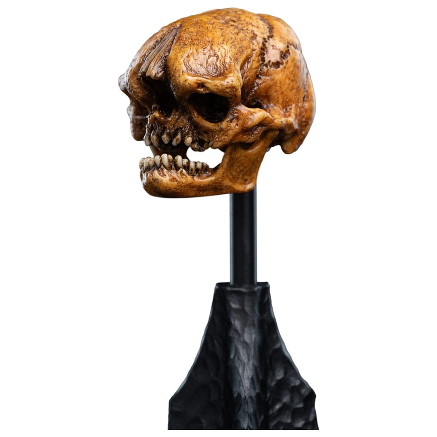 Władca Pierścieni Mini Statue Skull of a Misty Mountain Goblin 14 cm zdjęcie produktu