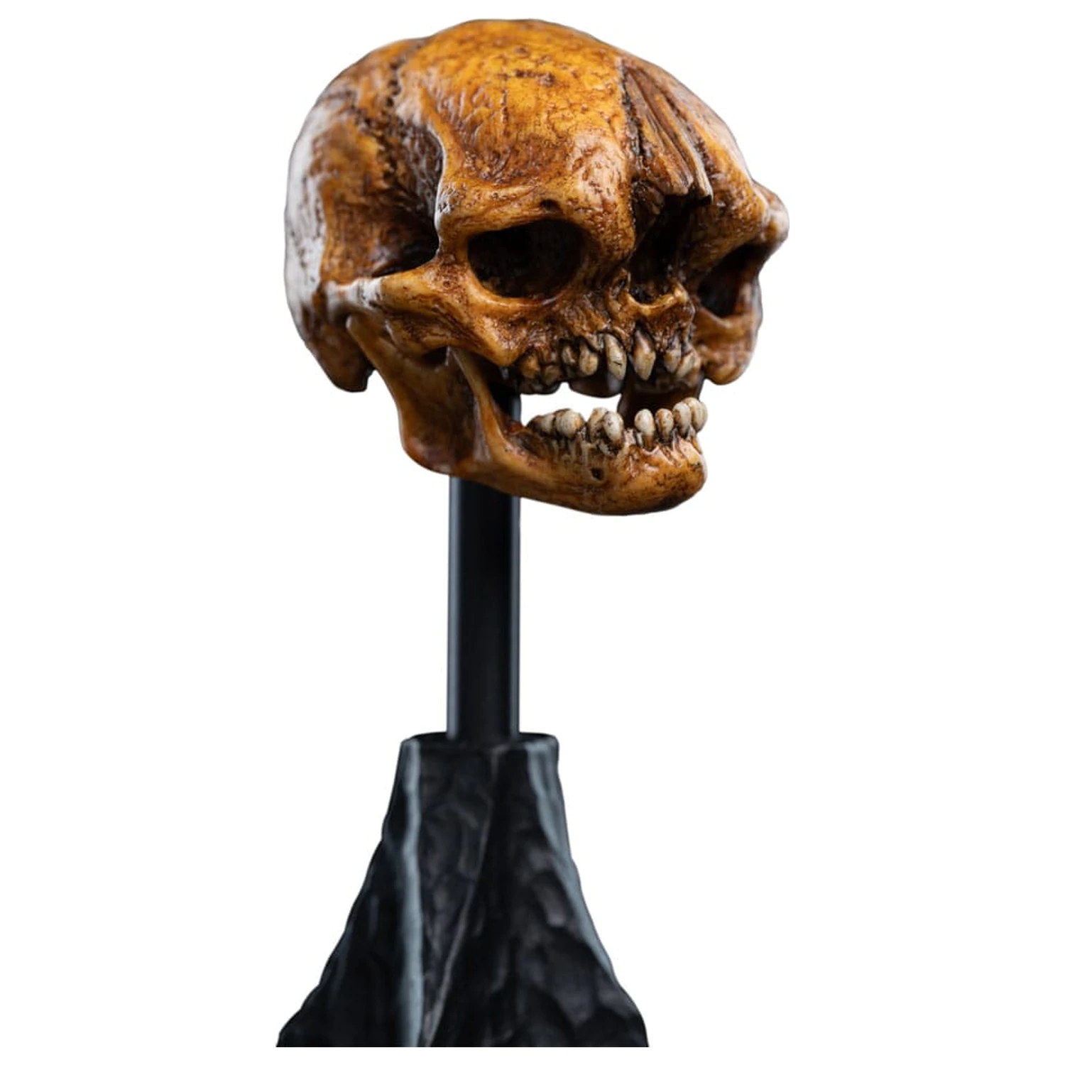 Władca Pierścieni Mini Statue Skull of a Misty Mountain Goblin 14 cm zdjęcie produktu