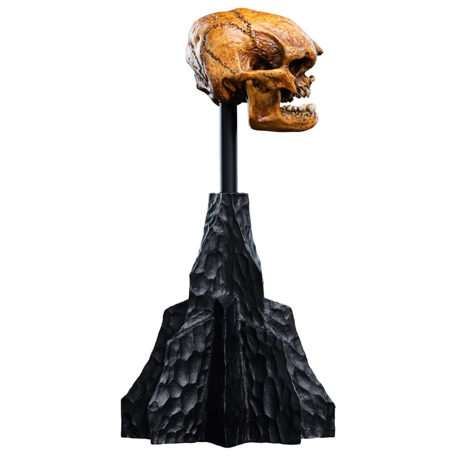 Władca Pierścieni Mini Statue Skull of a Misty Mountain Goblin 14 cm zdjęcie produktu