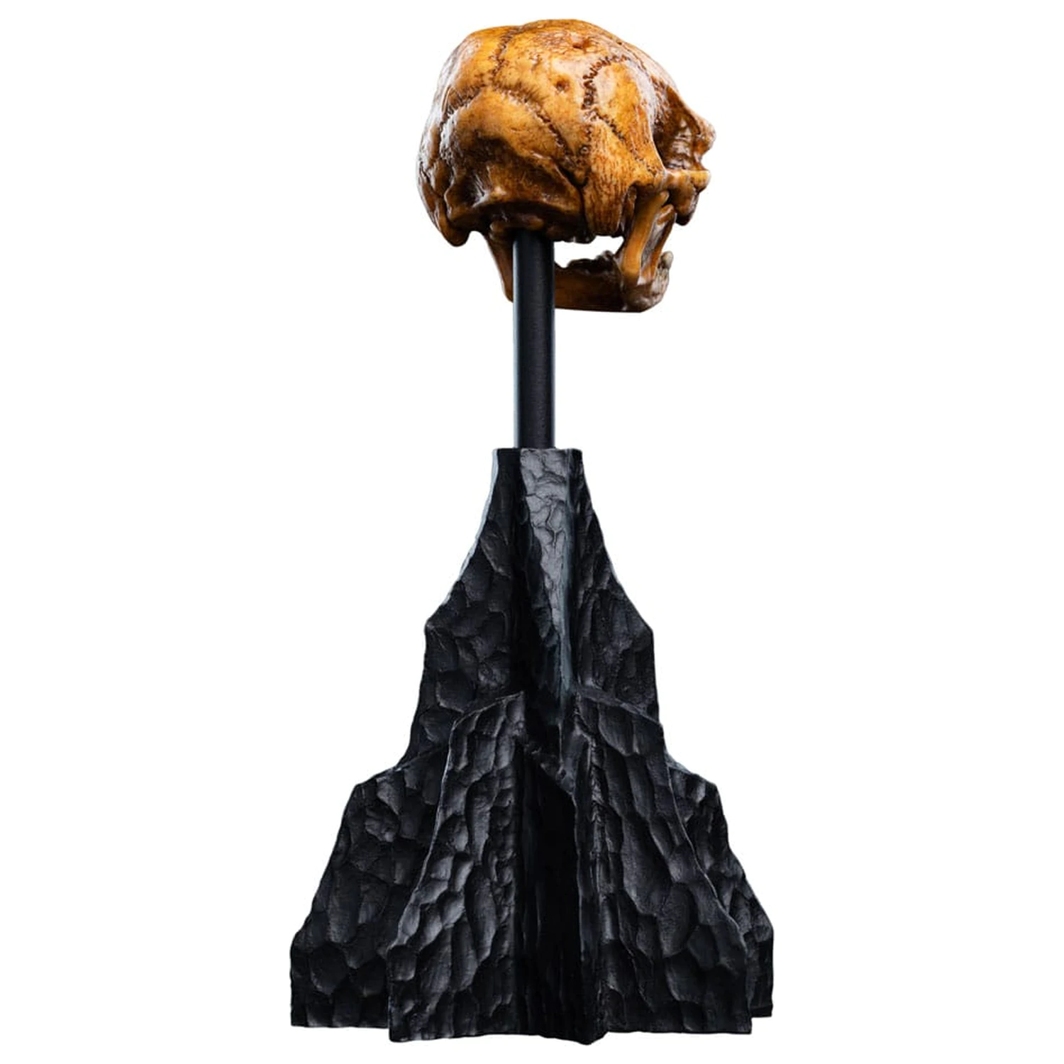 Władca Pierścieni Mini Statue Skull of a Misty Mountain Goblin 14 cm zdjęcie produktu