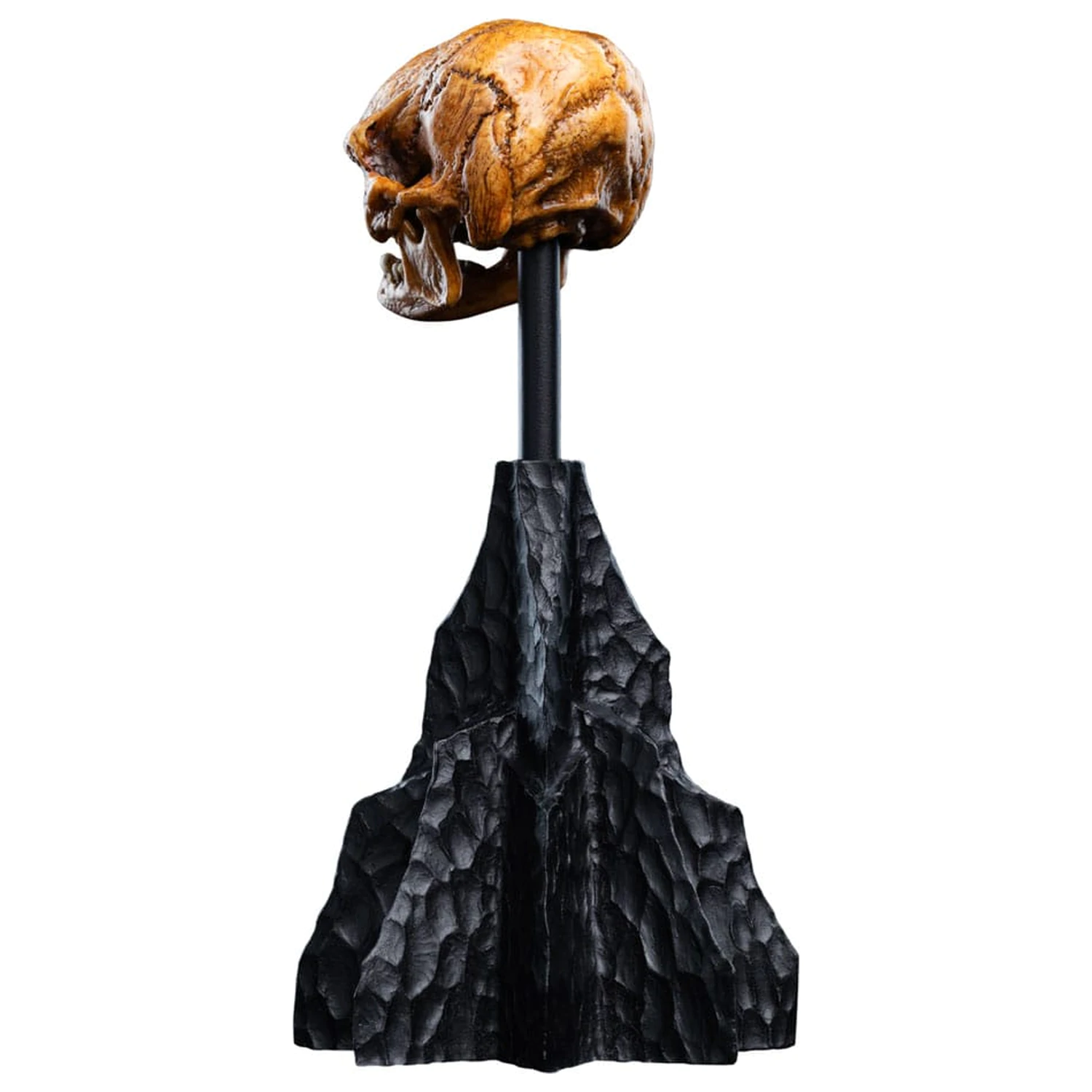 Władca Pierścieni Mini Statue Skull of a Misty Mountain Goblin 14 cm zdjęcie produktu