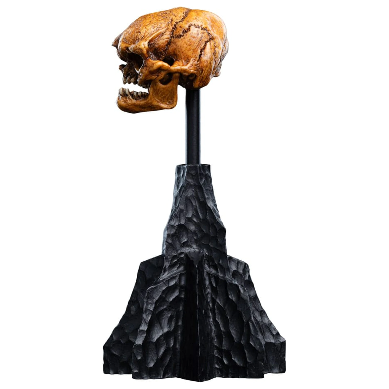 Władca Pierścieni Mini Statue Skull of a Misty Mountain Goblin 14 cm zdjęcie produktu