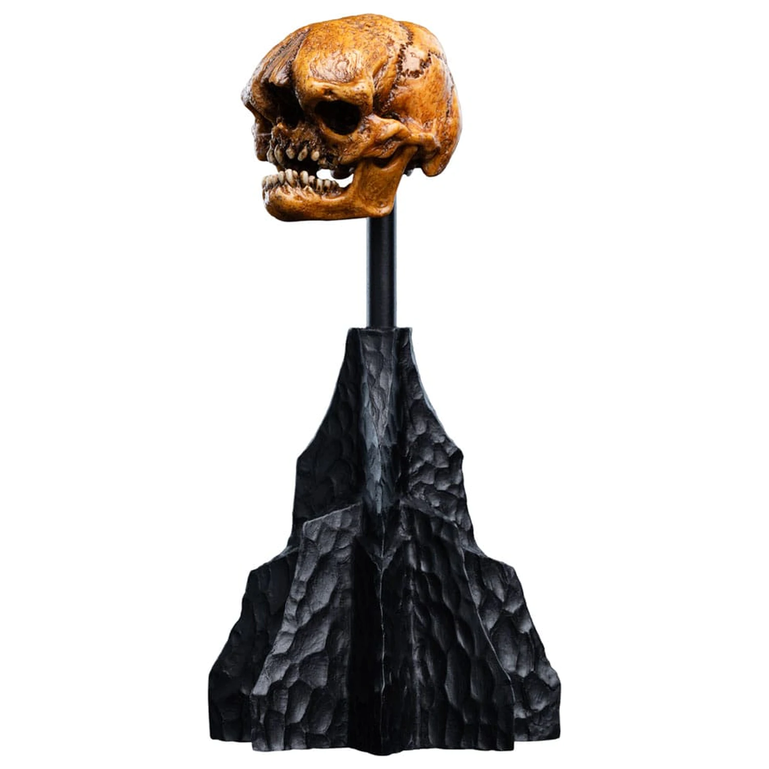 Władca Pierścieni Mini Statue Skull of a Misty Mountain Goblin 14 cm zdjęcie produktu