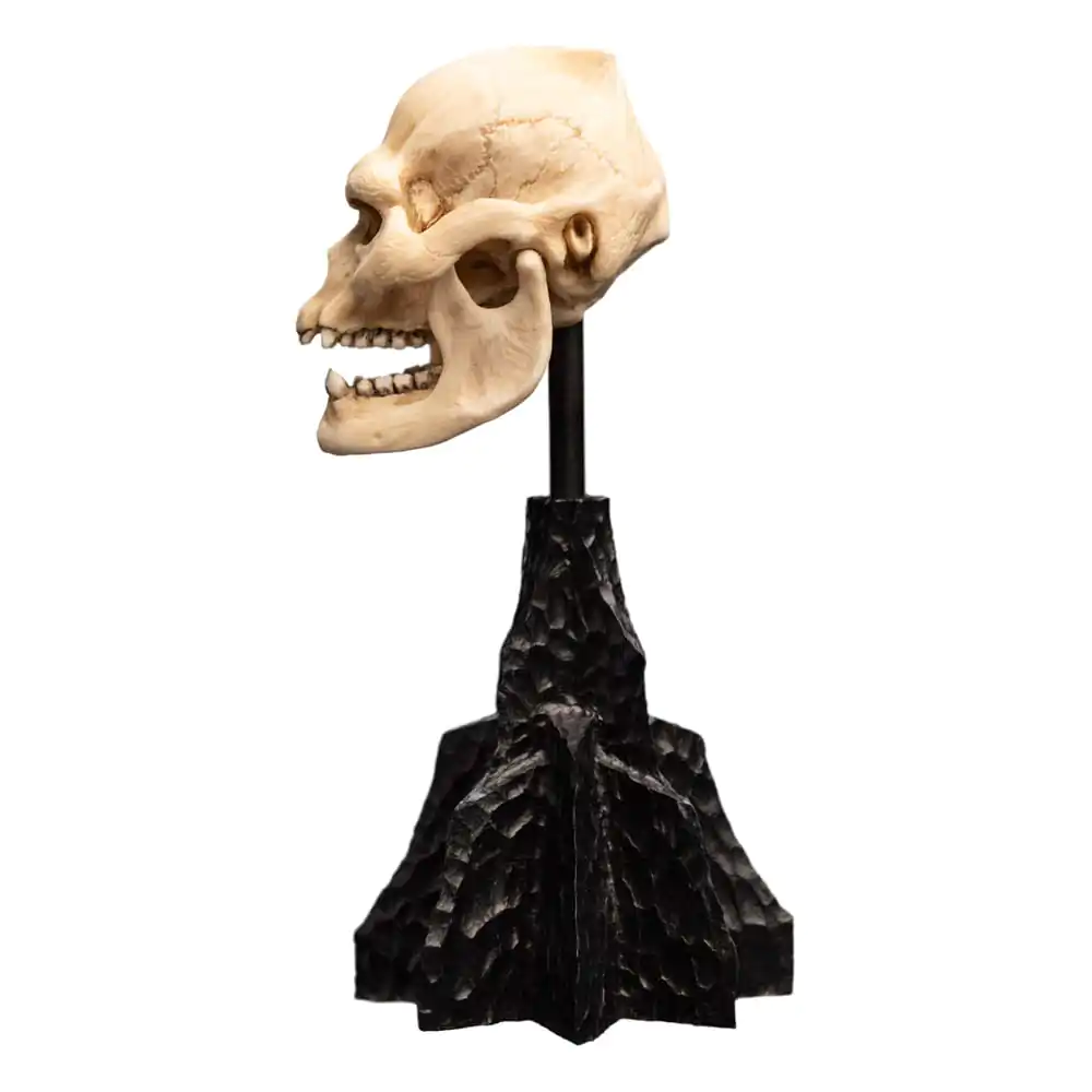 Lord of the Rings Mini Statuetka Czaszka Lurtza 14 cm zdjęcie produktu