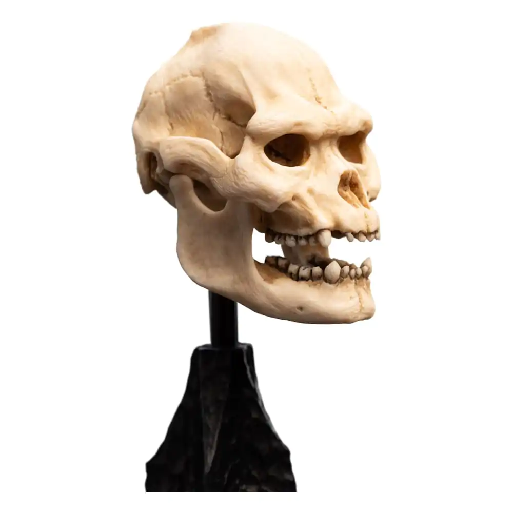 Lord of the Rings Mini Statuetka Czaszka Lurtza 14 cm zdjęcie produktu