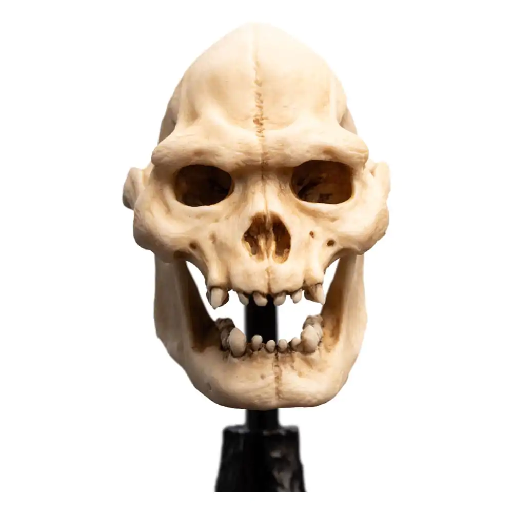 Lord of the Rings Mini Statuetka Czaszka Lurtza 14 cm zdjęcie produktu