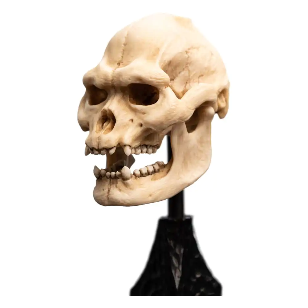Lord of the Rings Mini Statuetka Czaszka Lurtza 14 cm zdjęcie produktu