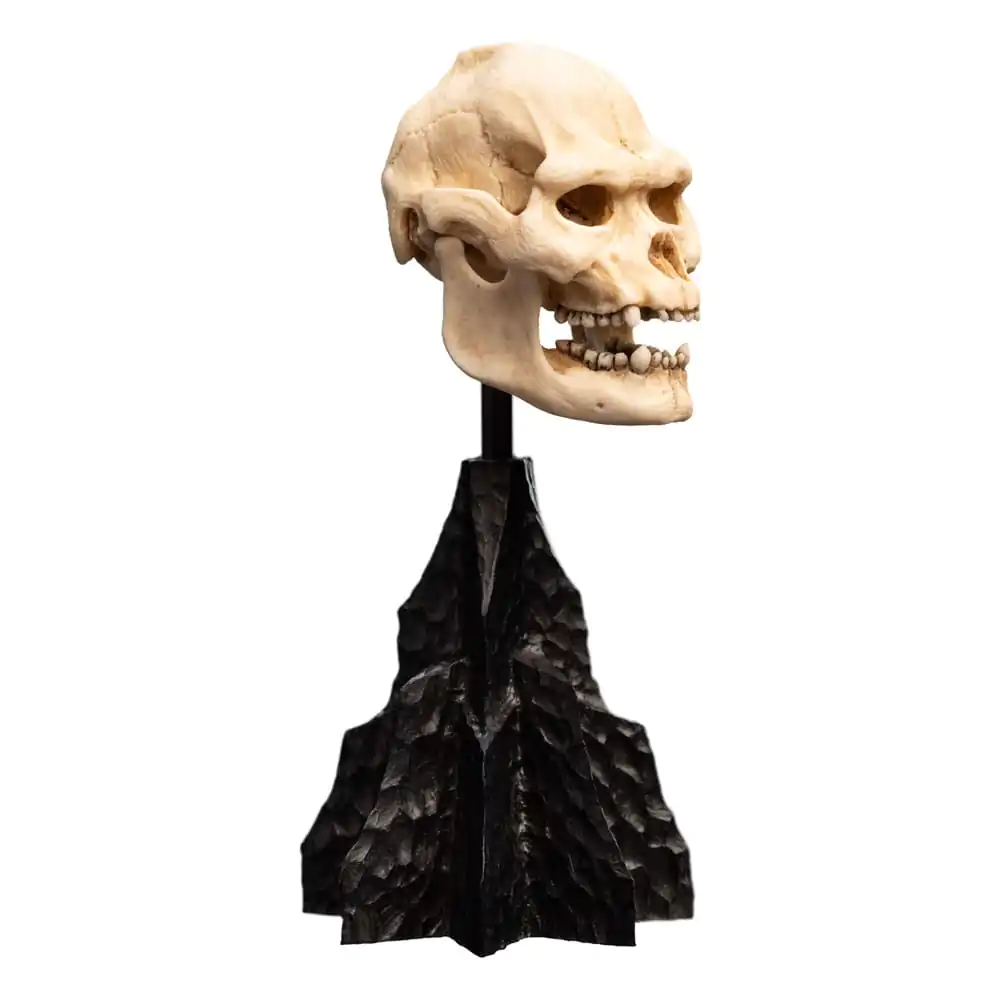 Lord of the Rings Mini Statuetka Czaszka Lurtza 14 cm zdjęcie produktu