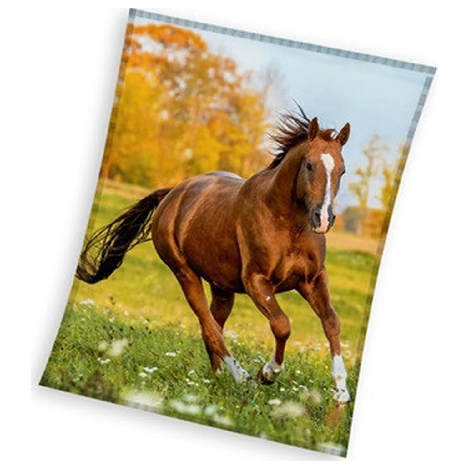 Koc polarowy Horse Gallop zdjęcie produktu