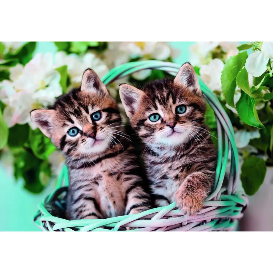 Puzzle Lovely Kitty Twins 60 elementów zdjęcie produktu