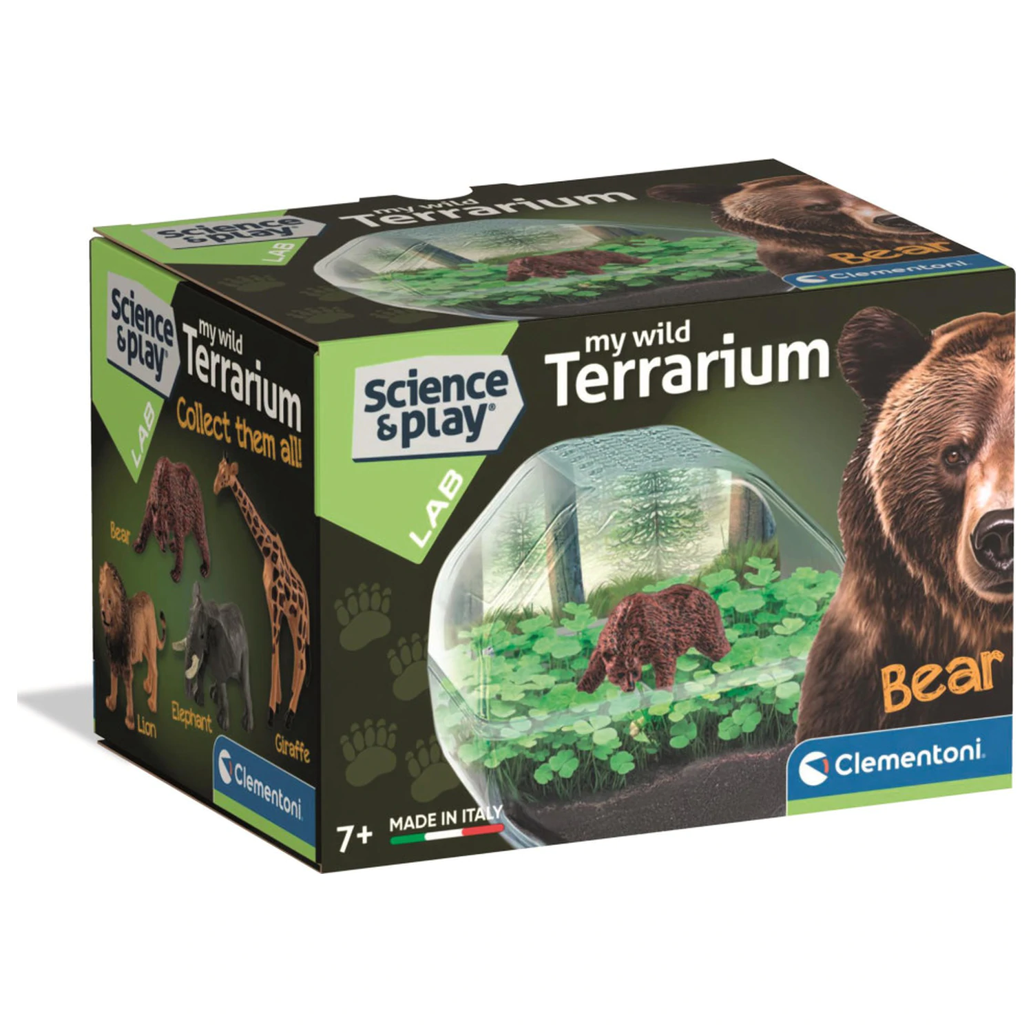 Mini Bear Terrarium zdjęcie produktu