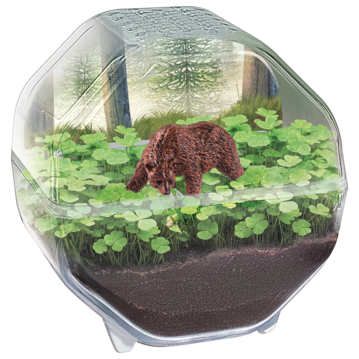 Mini Bear Terrarium zdjęcie produktu