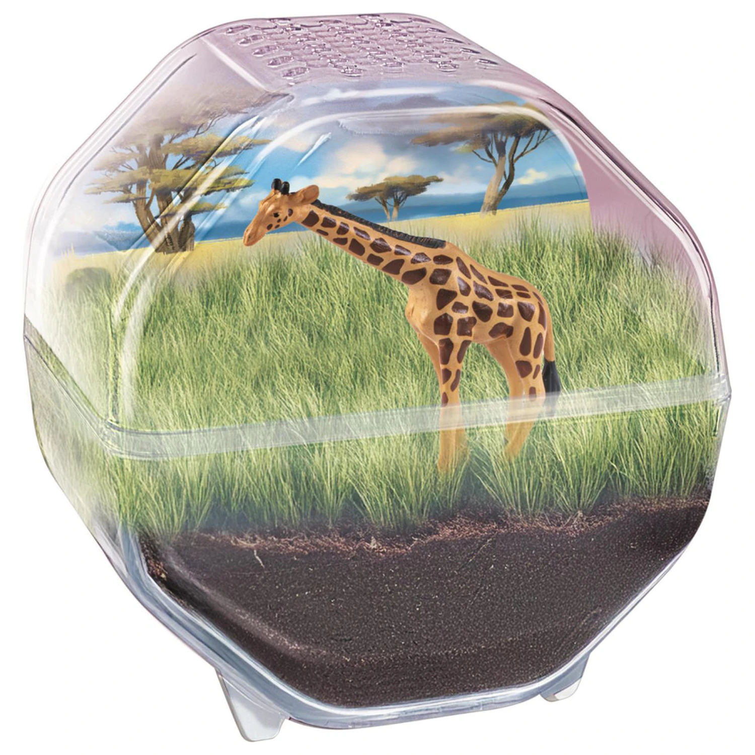Mini Giraffe terrarium zdjęcie produktu