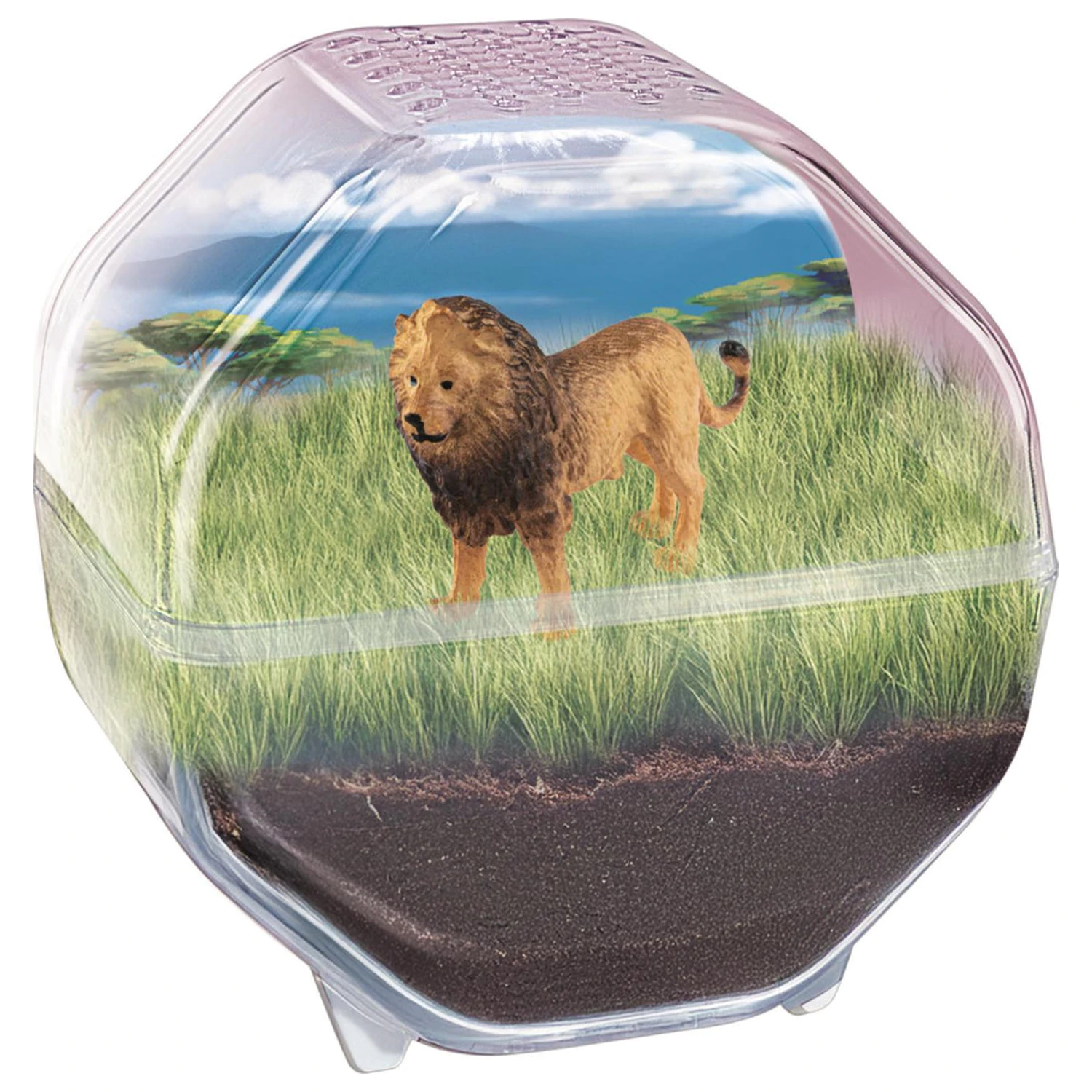 Mini Lion terrarium zdjęcie produktu