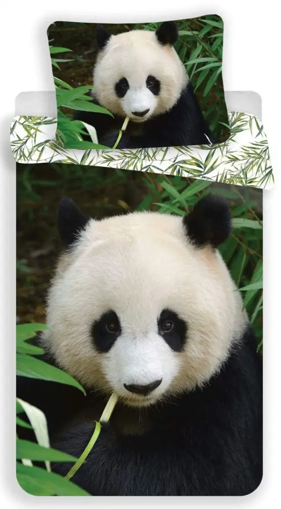 Panda Poszwa na kołdrę 140x200cm, poszewka na poduszkę 70x90cm zdjęcie produktu