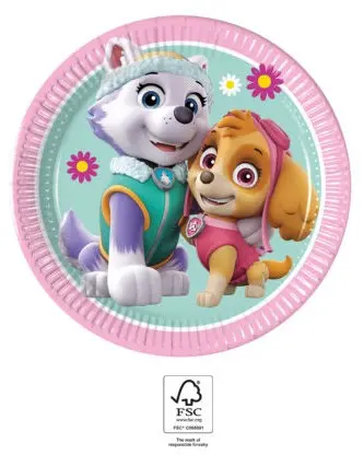 Paw Patrol Skye i Everest Talerzyki papierowe 8 sztuk 19.5 cm FSC zdjęcie produktu