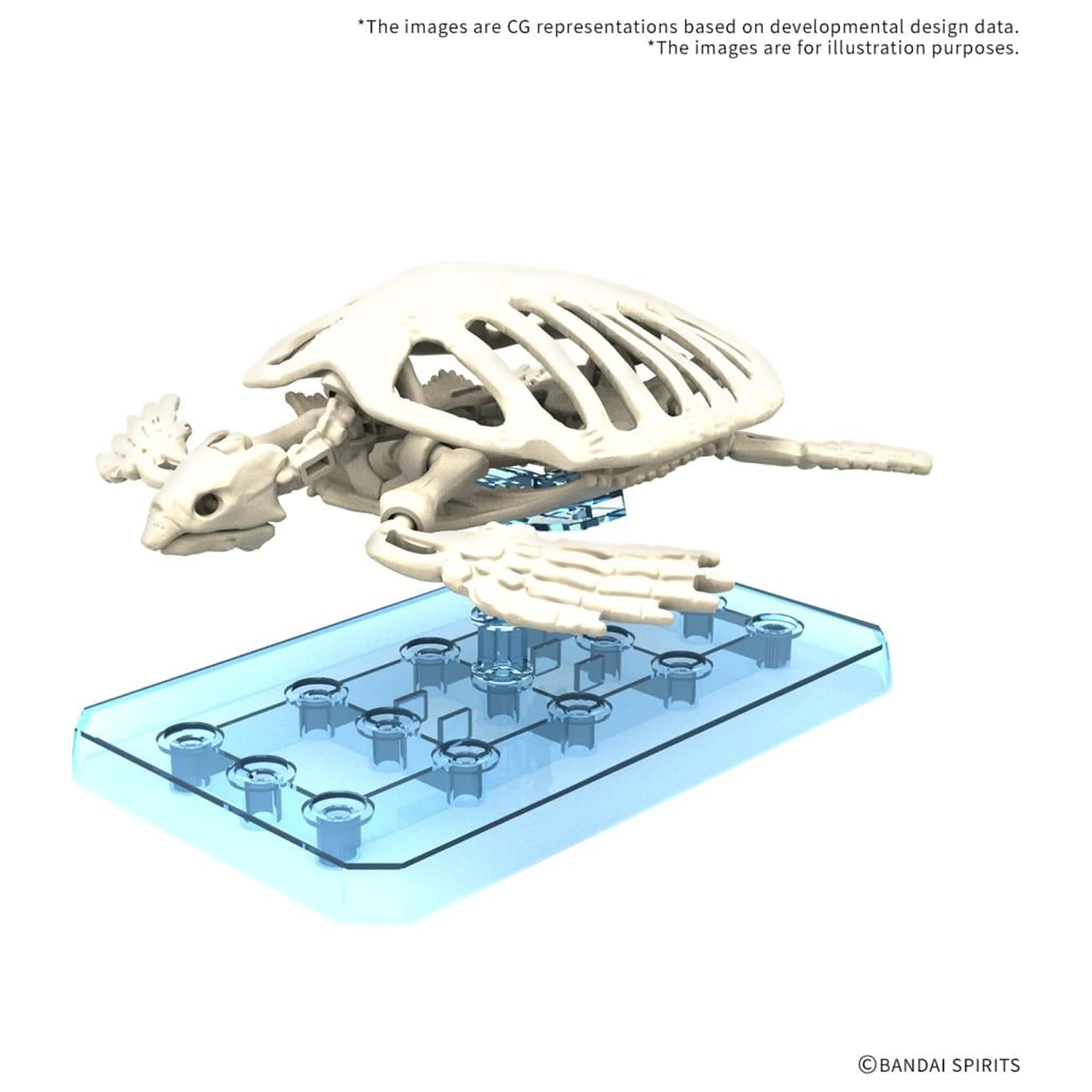 Zestaw do składania modelu Plannosaurus Archelon zdjęcie produktu