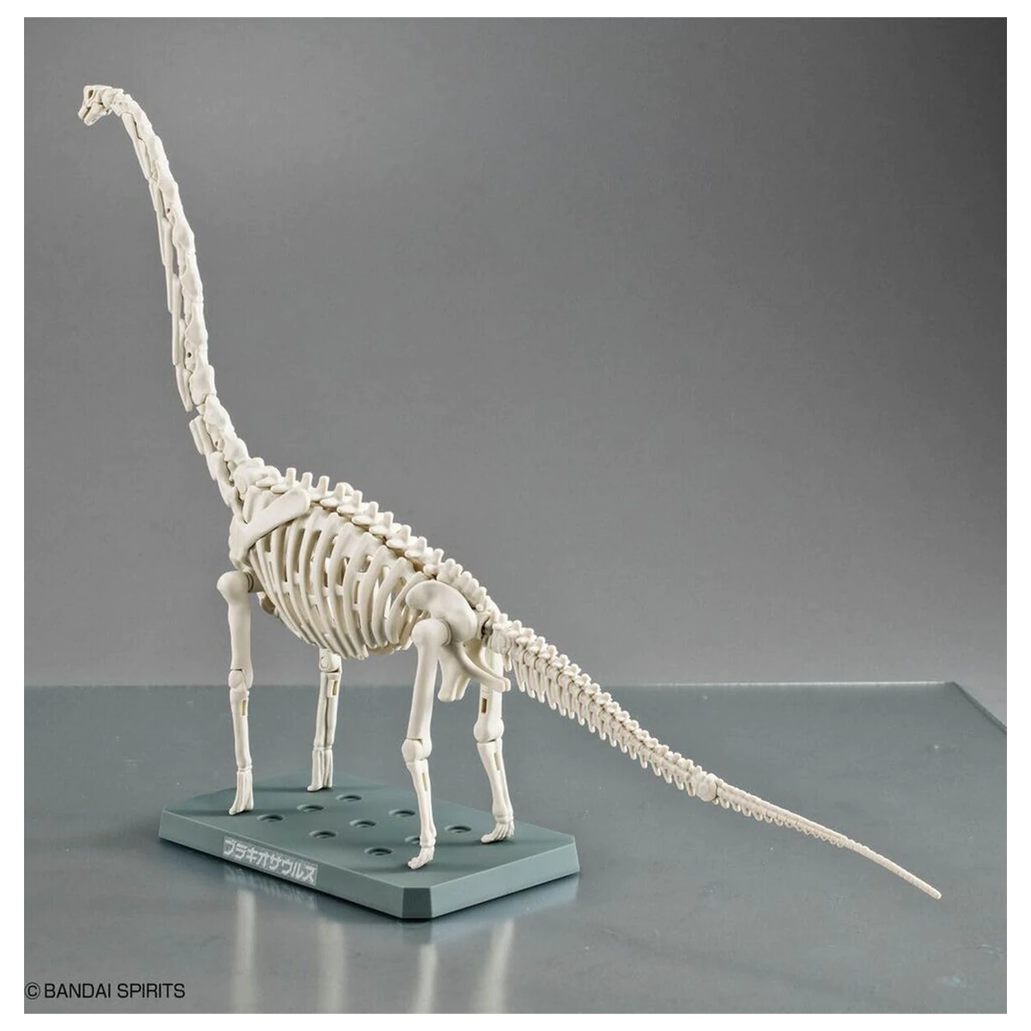 Zestaw Modelarski Plannosaurus Brachiosaurus zdjęcie produktu