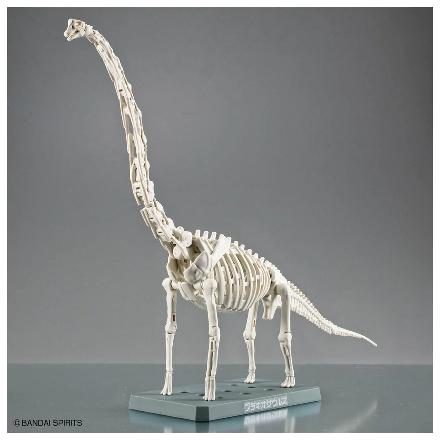 Zestaw Modelarski Plannosaurus Brachiosaurus zdjęcie produktu