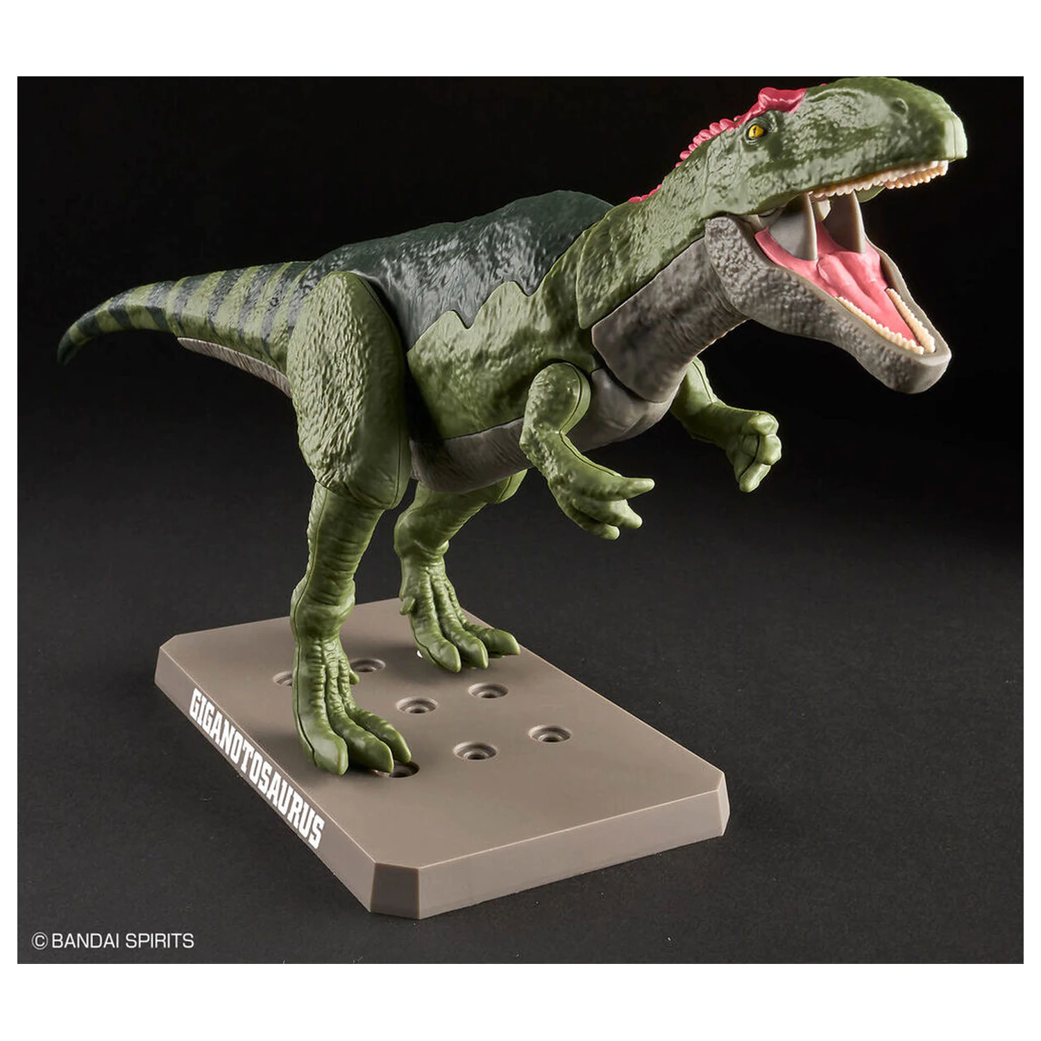 Model Kit Plannosaurus Giganotosaurus zdjęcie produktu