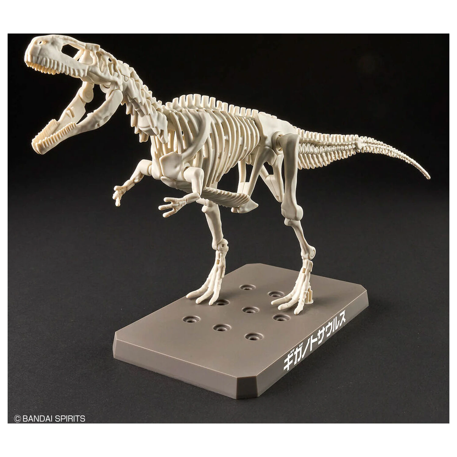 Model Kit Plannosaurus Giganotosaurus zdjęcie produktu
