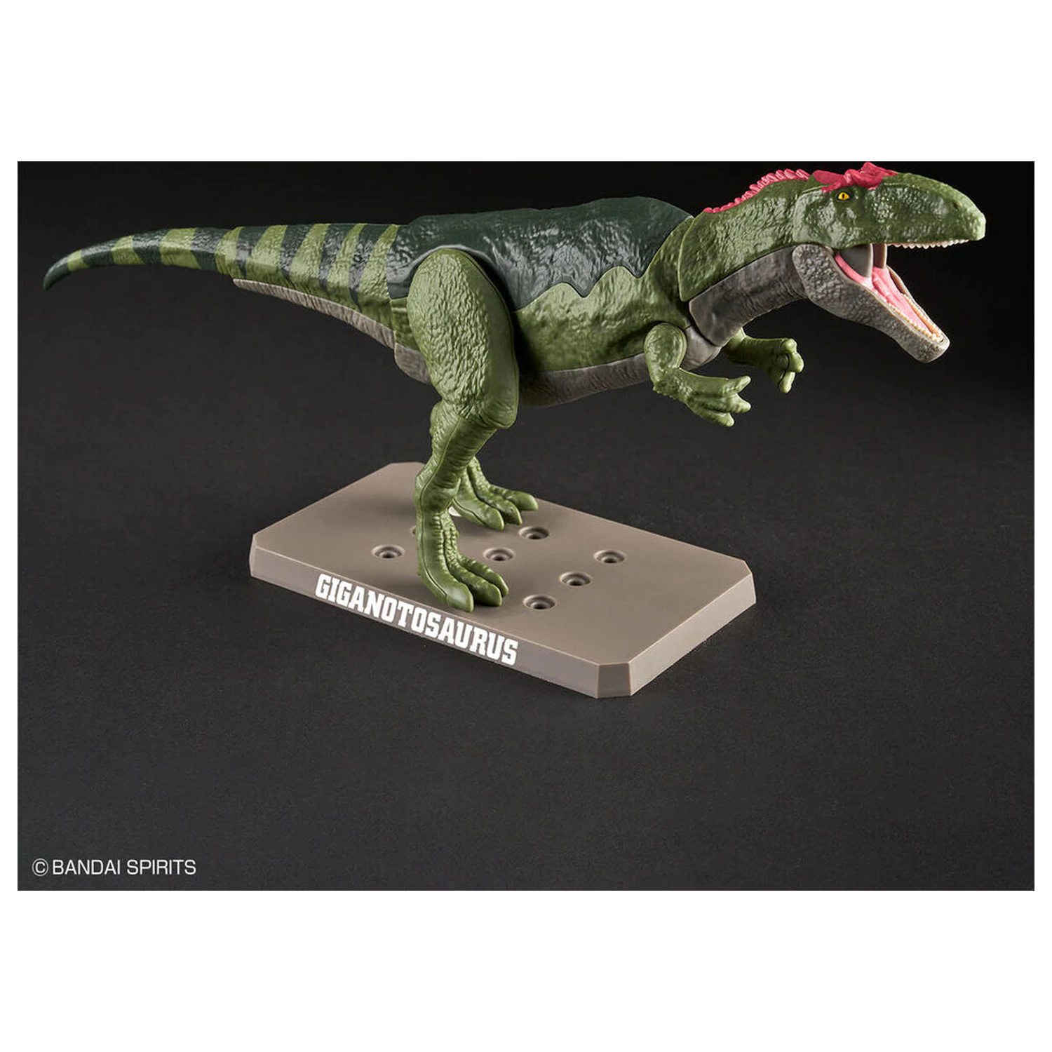 Model Kit Plannosaurus Giganotosaurus zdjęcie produktu