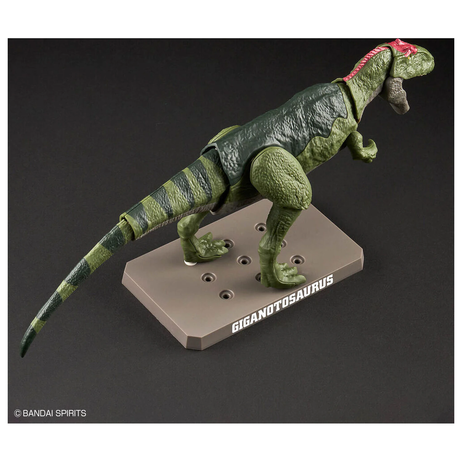 Model Kit Plannosaurus Giganotosaurus zdjęcie produktu