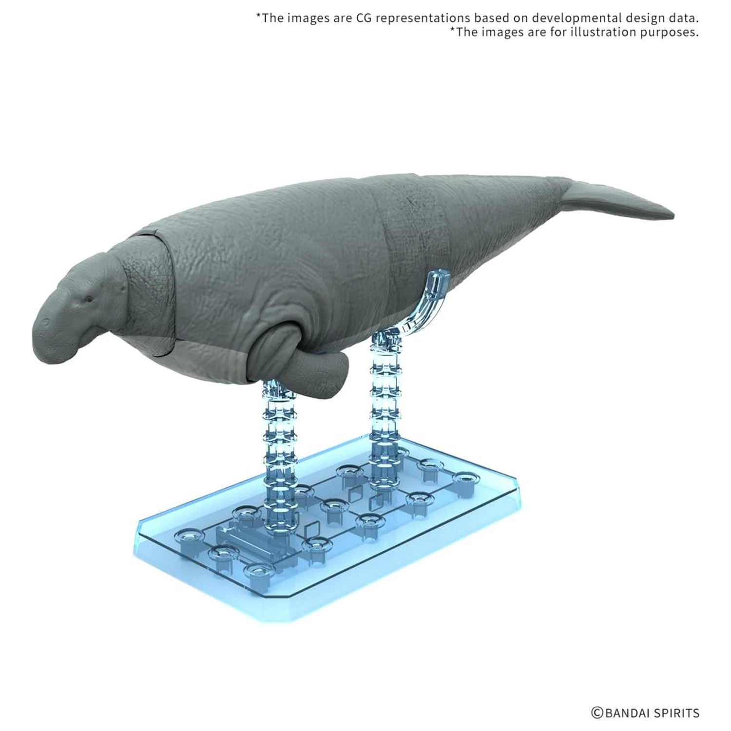 Zestaw modelarski Plannosaurus Hydrodamalis gigas zdjęcie produktu