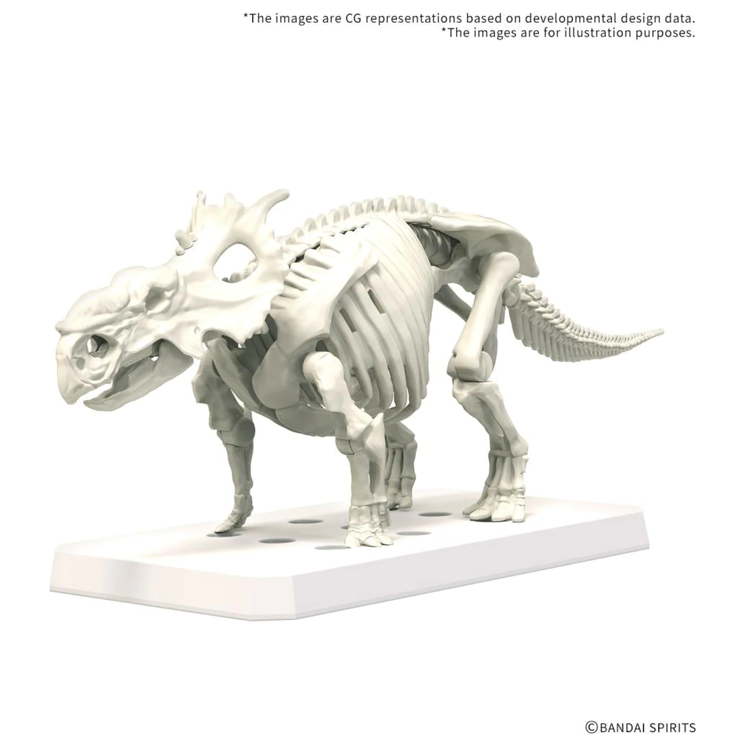 Zestaw do składania modelu Plannosaurus Pachyrhinosaurus Model Kit zdjęcie produktu