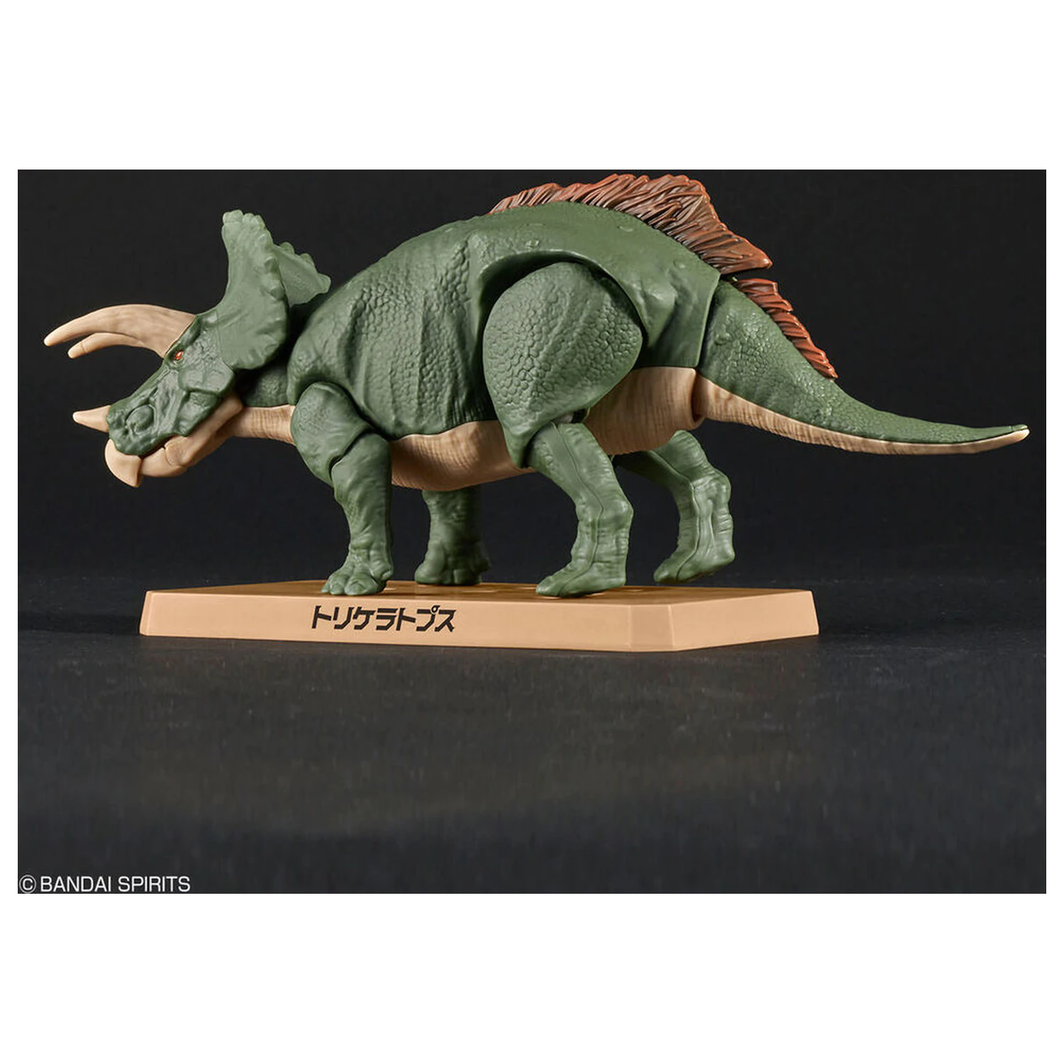 Zestaw Modelarski Plannosaurus Triceratops zdjęcie produktu
