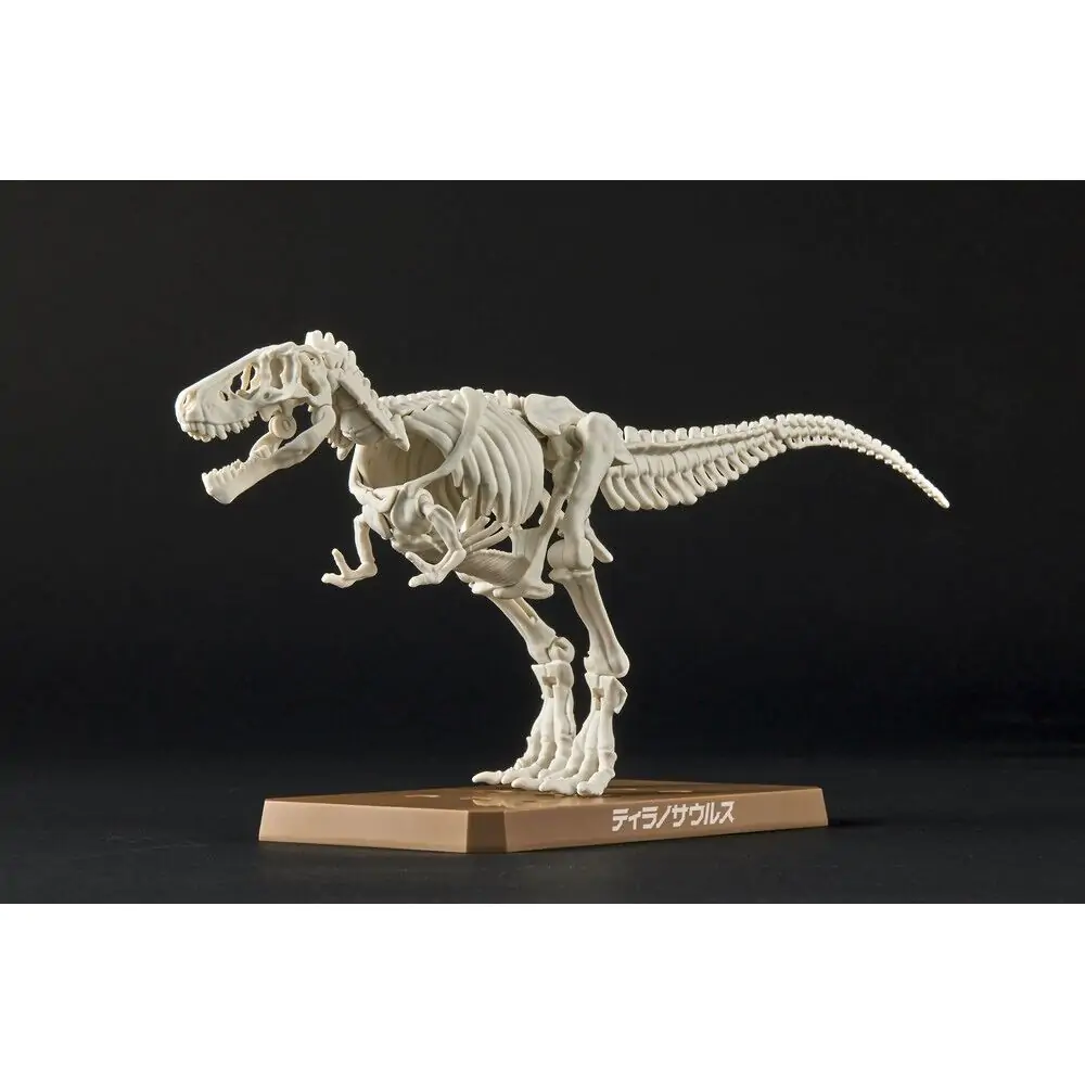 Plannosaurus Tyrannosaurus Model Kit figure zdjęcie produktu
