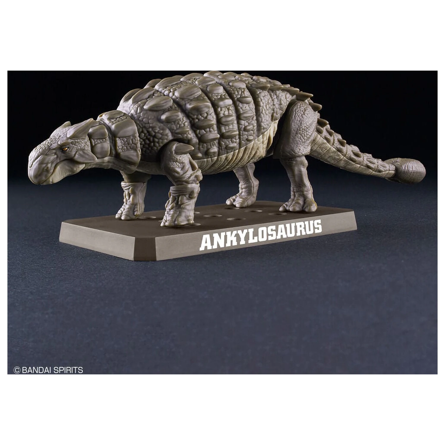 Planosaurus Ankylosaurus Model Zestaw do Składania zdjęcie produktu