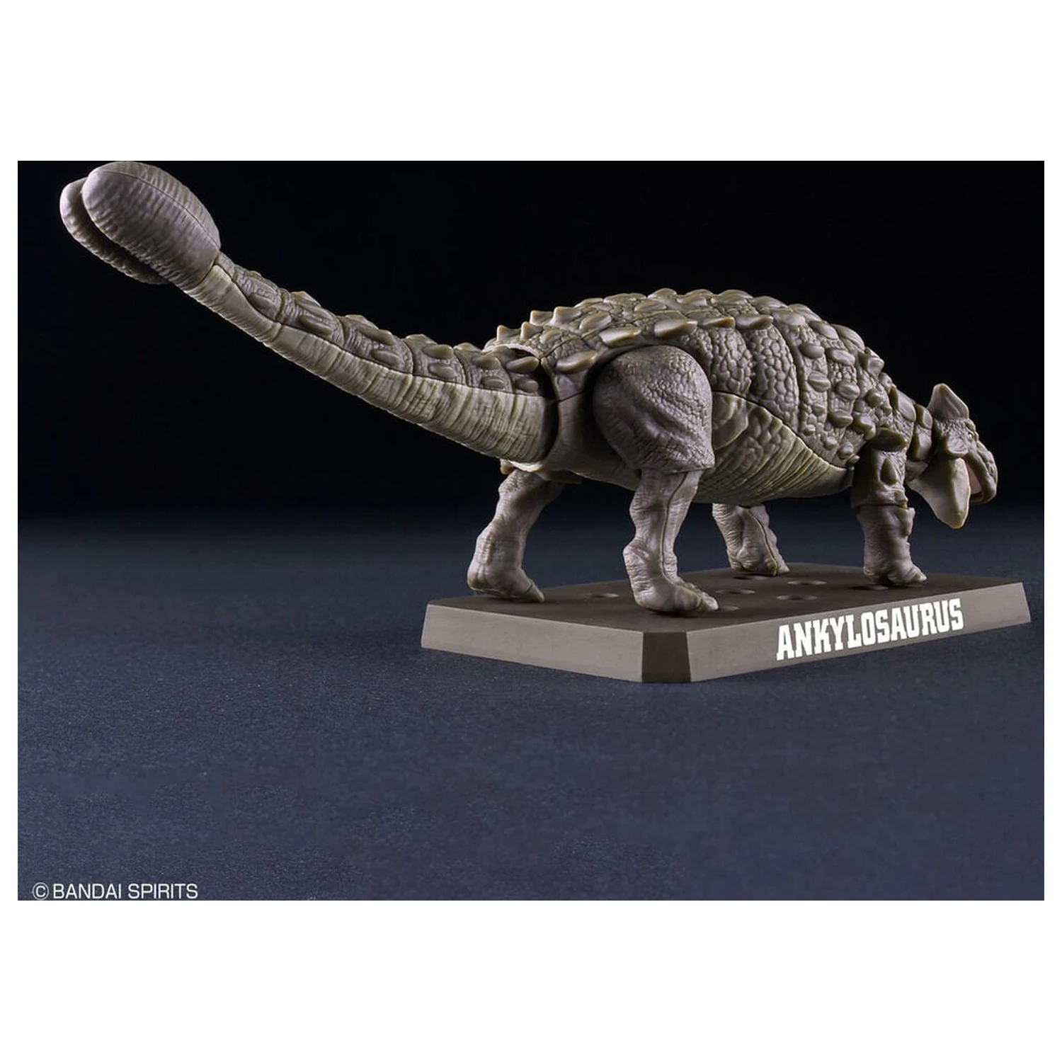 Planosaurus Ankylosaurus Model Zestaw do Składania zdjęcie produktu