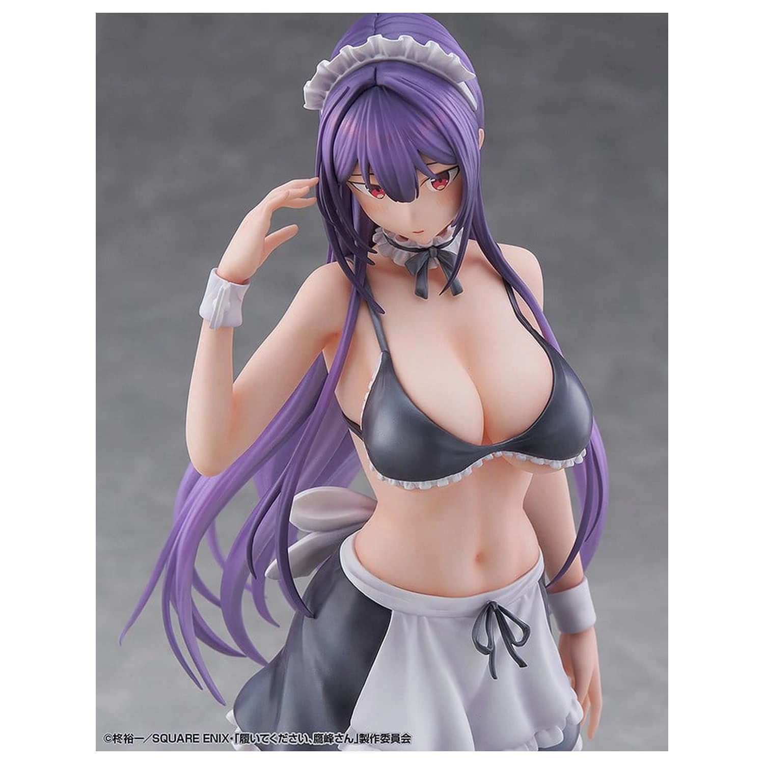 Proszę załóż je, Takamine-san PVC Figure 1/6 Takane Takamine 25 cm zdjęcie produktu