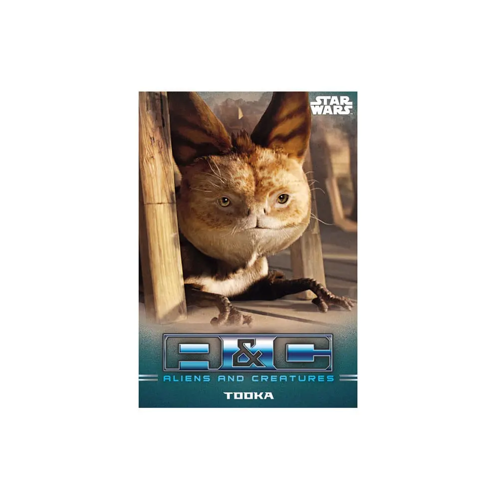 Star Wars: The Mandalorian Trading Cards Starter Pack *Wersja Angielska* zdjęcie produktu