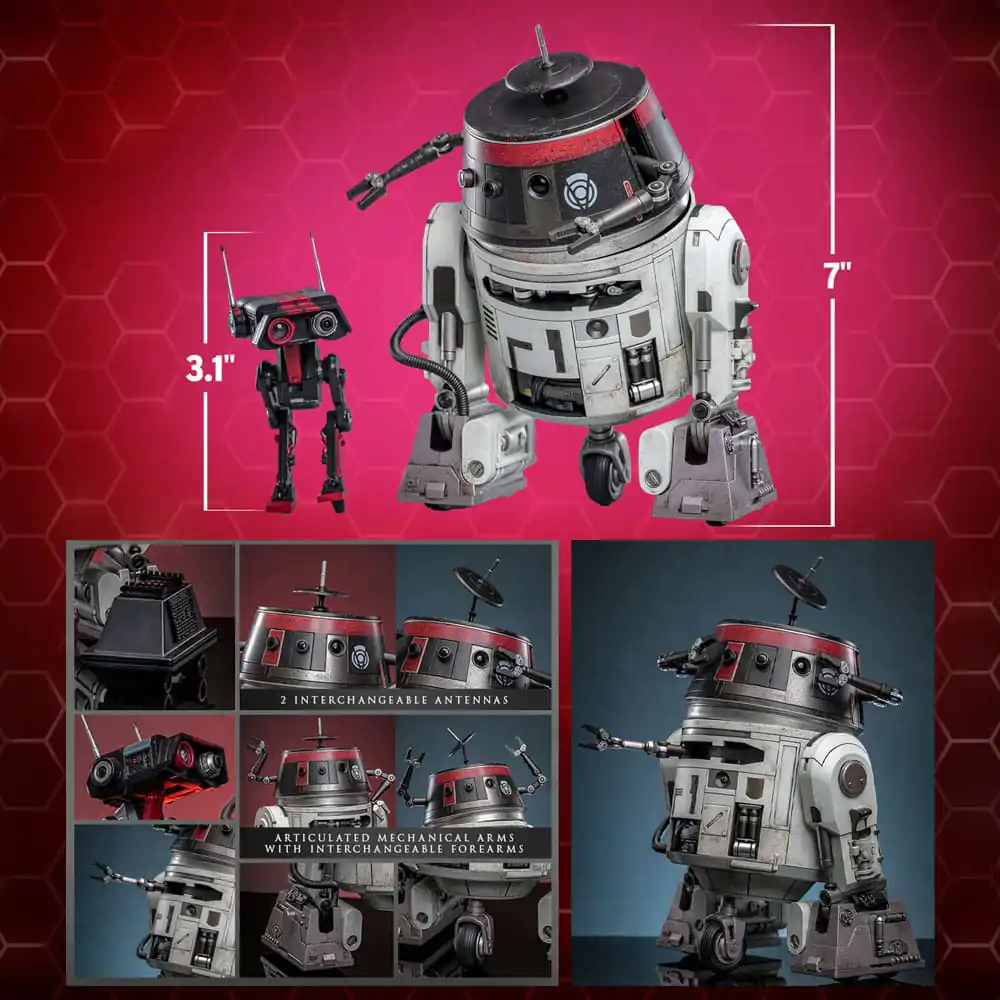 Star Wars Zestaw Figurek Akcji 1/6 Chopper (C1-10P™) i BD-1™ (Imperialne Przebranie) 18 cm i 8 cm zdjęcie produktu