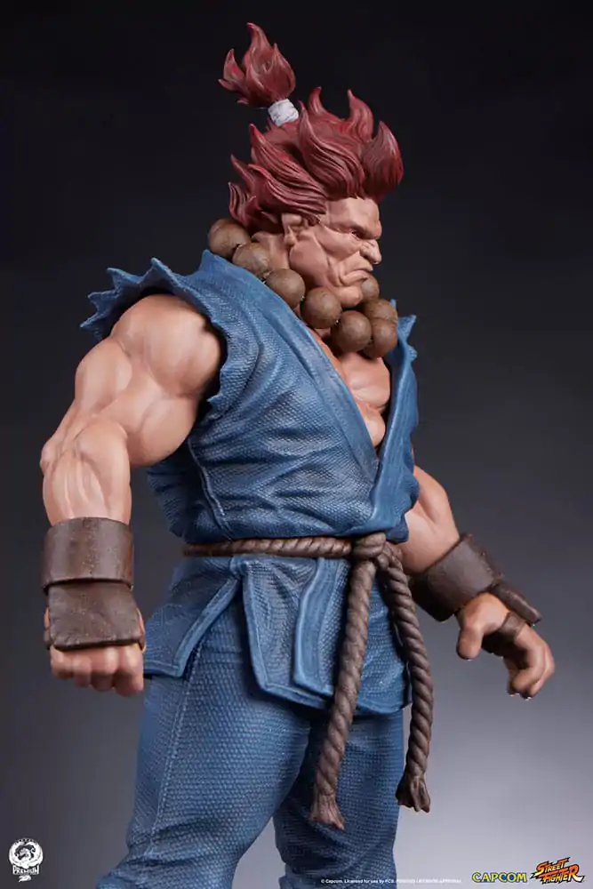 Street Fighter Figurki PVC 1/10 Akuma & Dhalsim 21 cm zdjęcie produktu