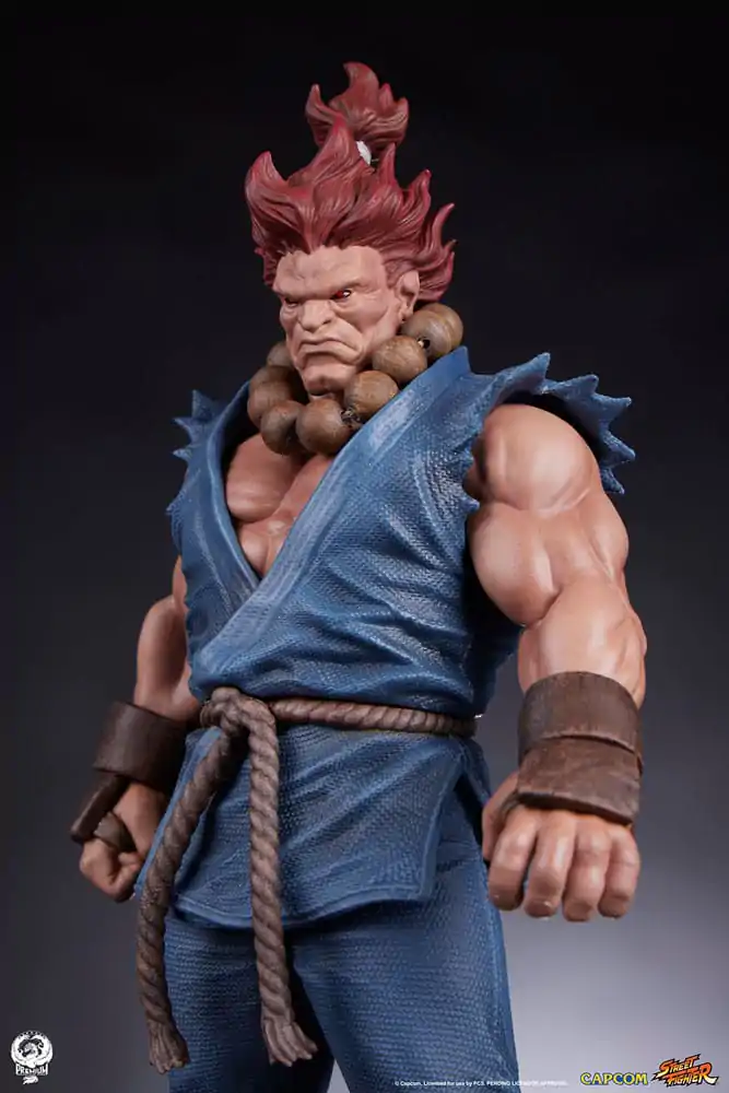 Street Fighter Figurki PVC 1/10 Akuma & Dhalsim 21 cm zdjęcie produktu